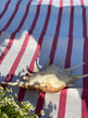 Beach Blanket