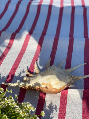 Beach Blanket
