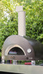 ONE PIZZA OVEN