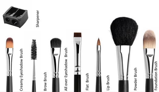 PROFESSIONAL BRUSH SET