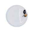 Frutti di Mare Plate Set of 10